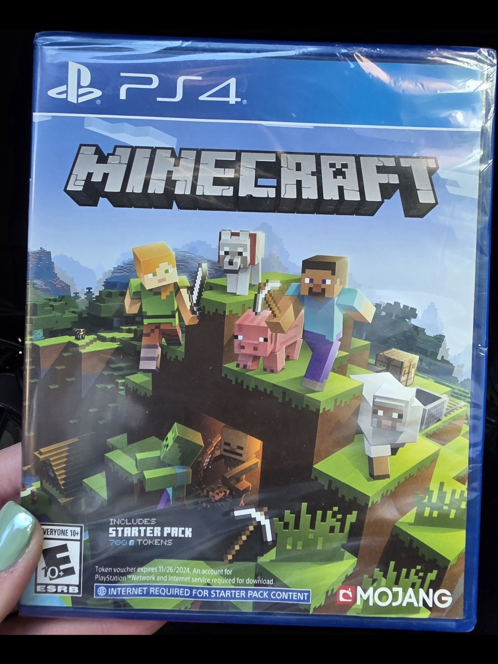 New Minecraft PS4 Game